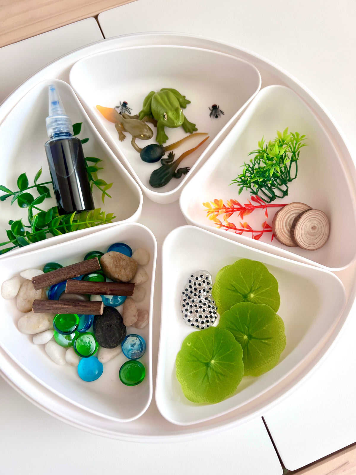 Pond Life Cycle Sensory Kit And Water Play