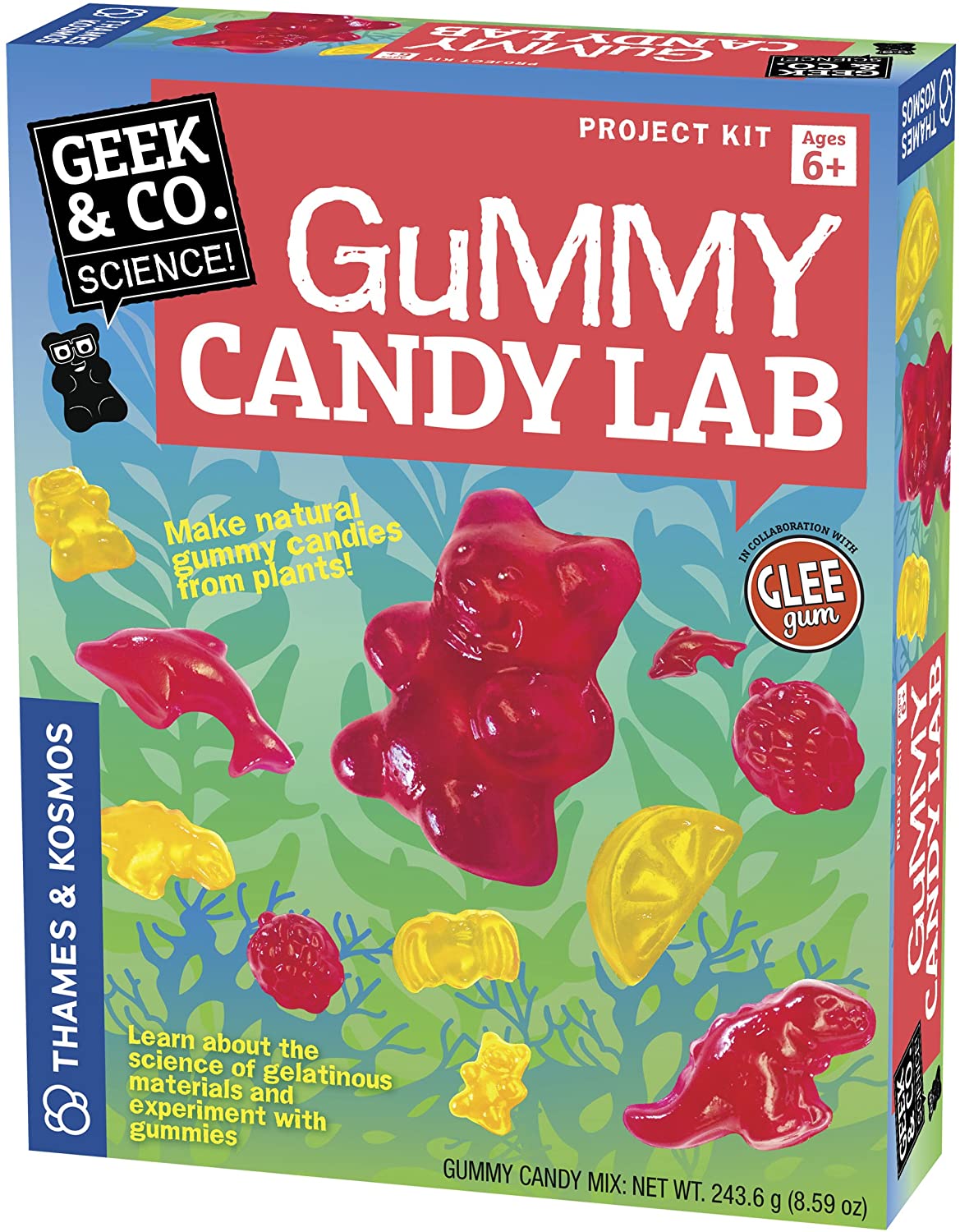 Sweet STEM Candy Science Kit