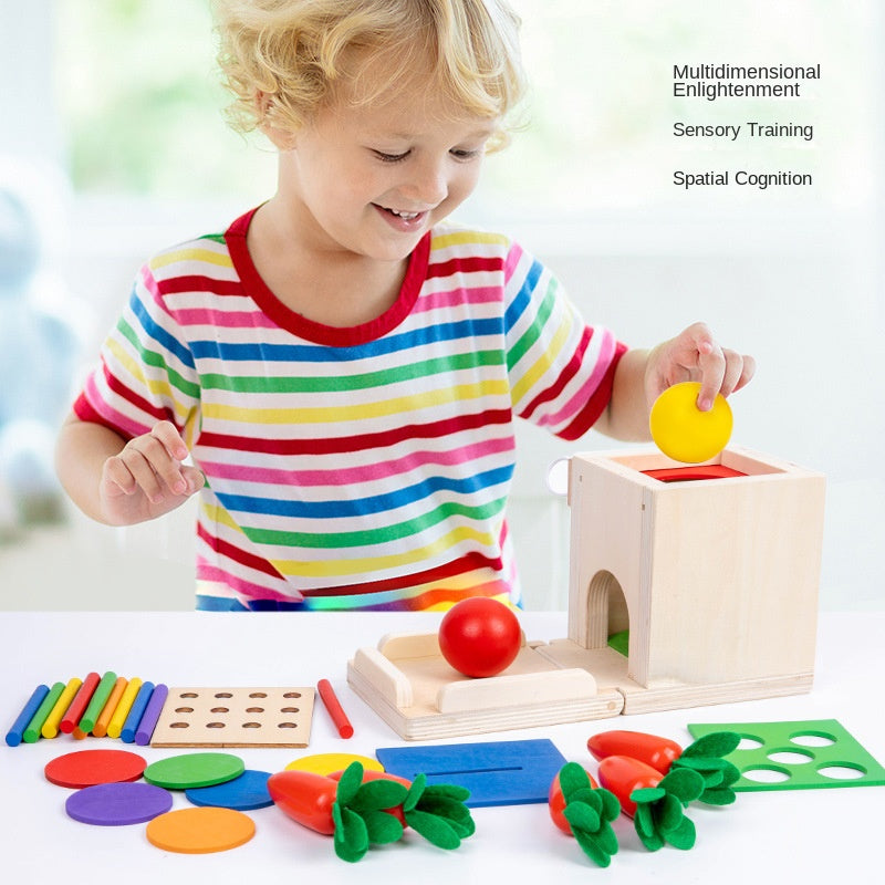 Montessori Four in One Coin Box Multi functional Stick Pulling Carrot Preschool Building Blocks Color Matching Intelligence Box Toy