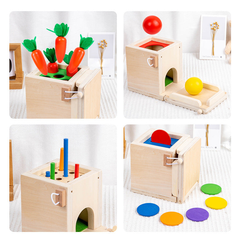 Montessori Four in One Coin Box Multi functional Stick Pulling Carrot Preschool Building Blocks Color Matching Intelligence Box Toy